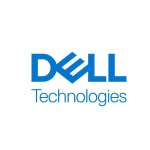 Dell - Kit Cliente - SSD - 960 GB - hot swap - 2.5" - SATA 6Gb/s - per PowerEdge T440 (2.5"), T640 (2.5")